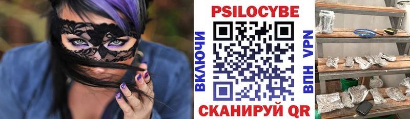 где можно купить   Игра  Галлюциногенные грибы Psilocybe 